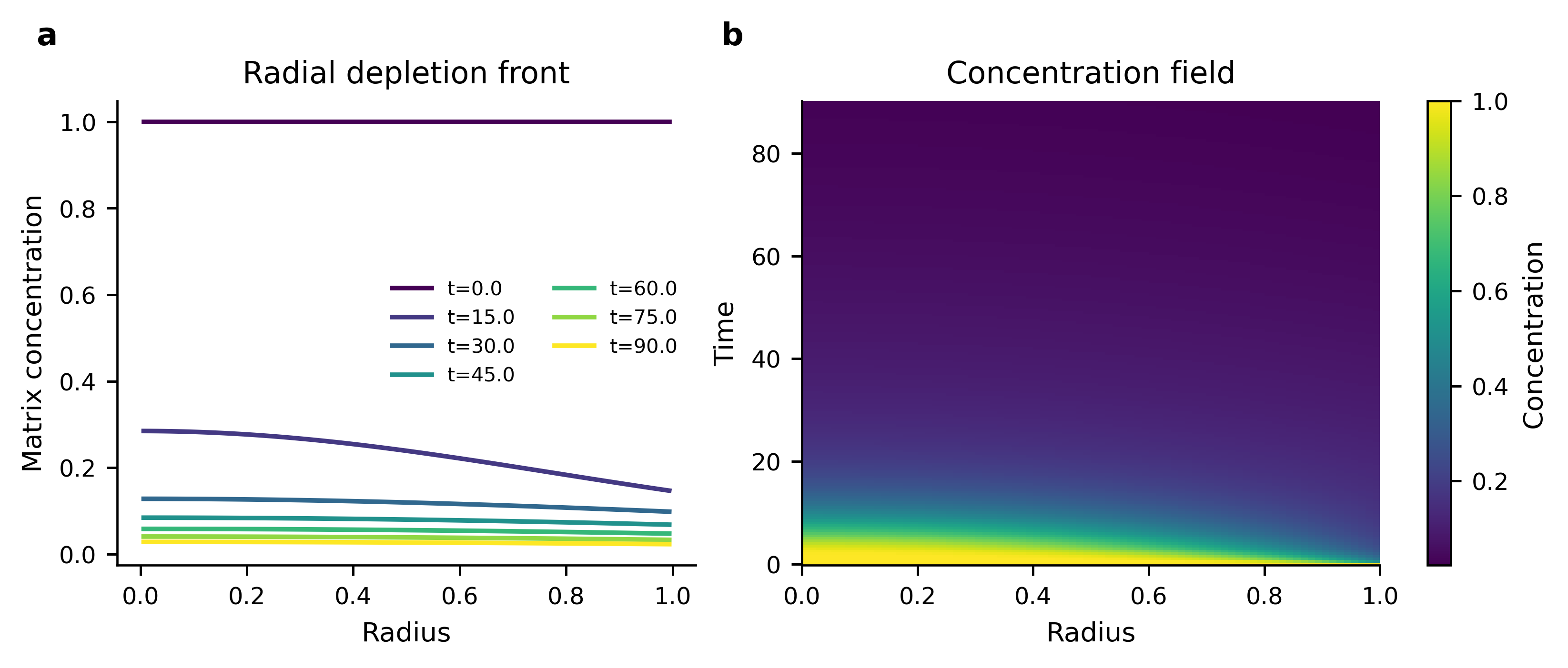 Radial concentration profiles inside a spherical matrix across time, paired with release and bulk concentration.